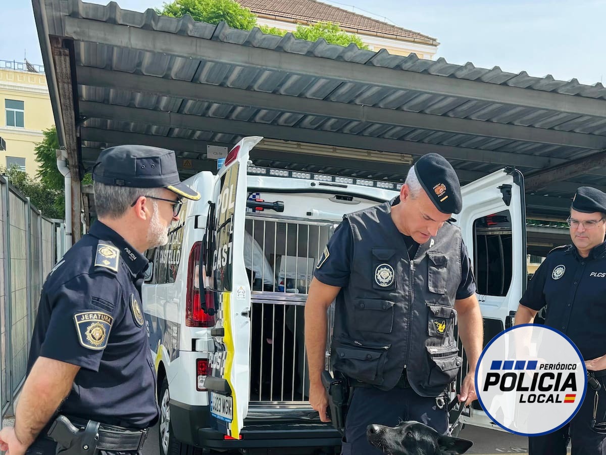 Detenido en Castellón un joven de 20 años al interceptarle 89 gramos de hachís