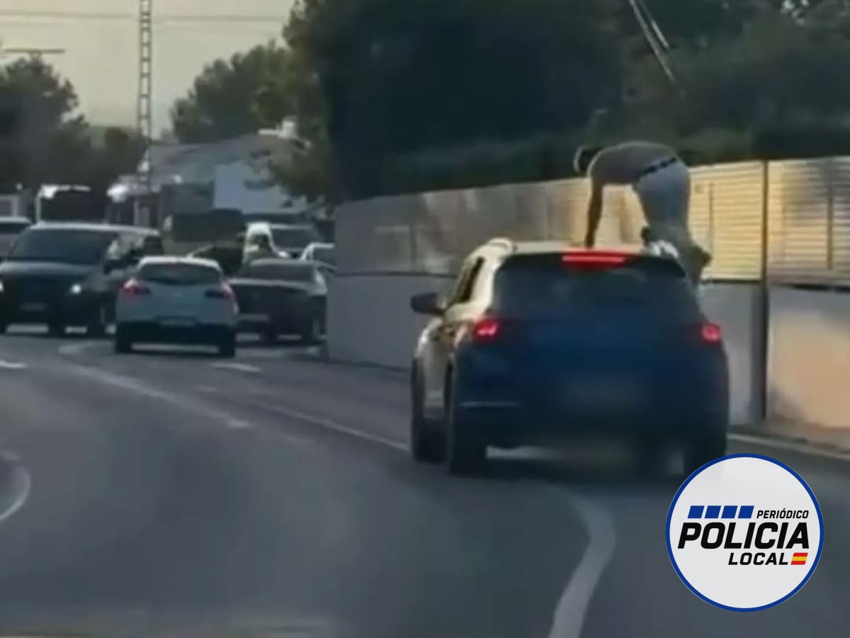 La Policía Local de Xàbia denuncia a un conductor por llevar a una persona sobre el techo del coche