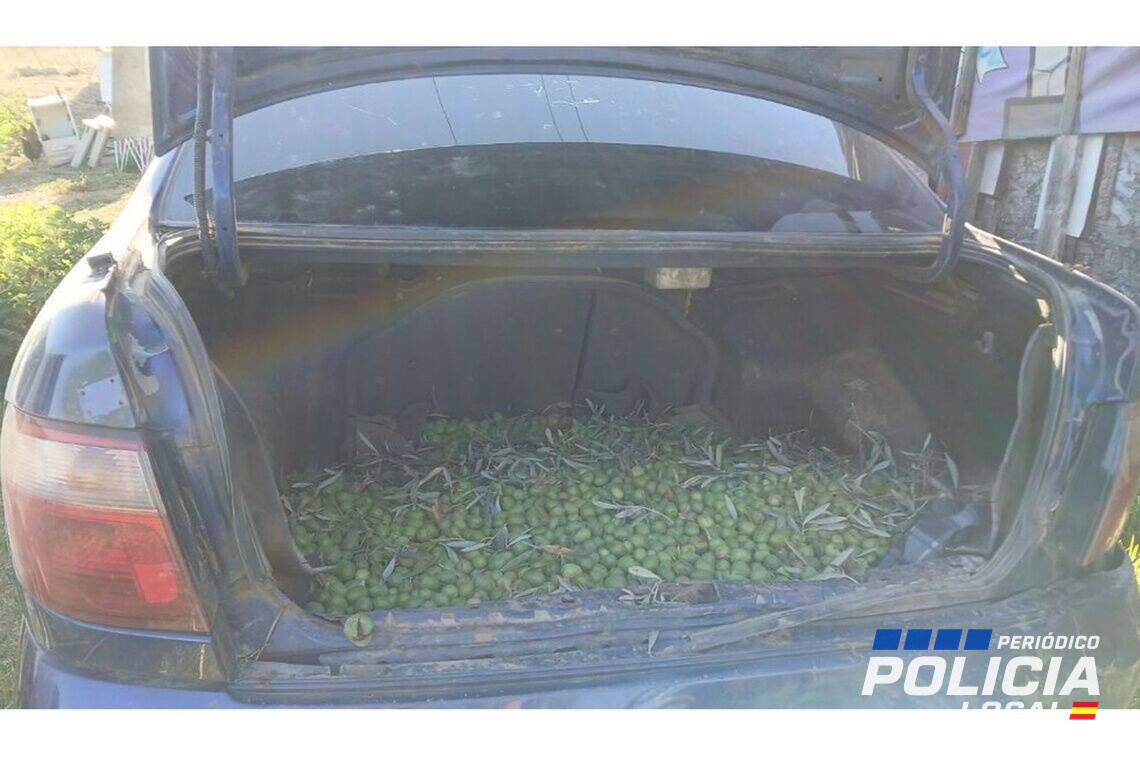 Policía Local de Alcalá de Guadaíra recupera 680 kilos de aceitunas robadas y detiene a cinco personas