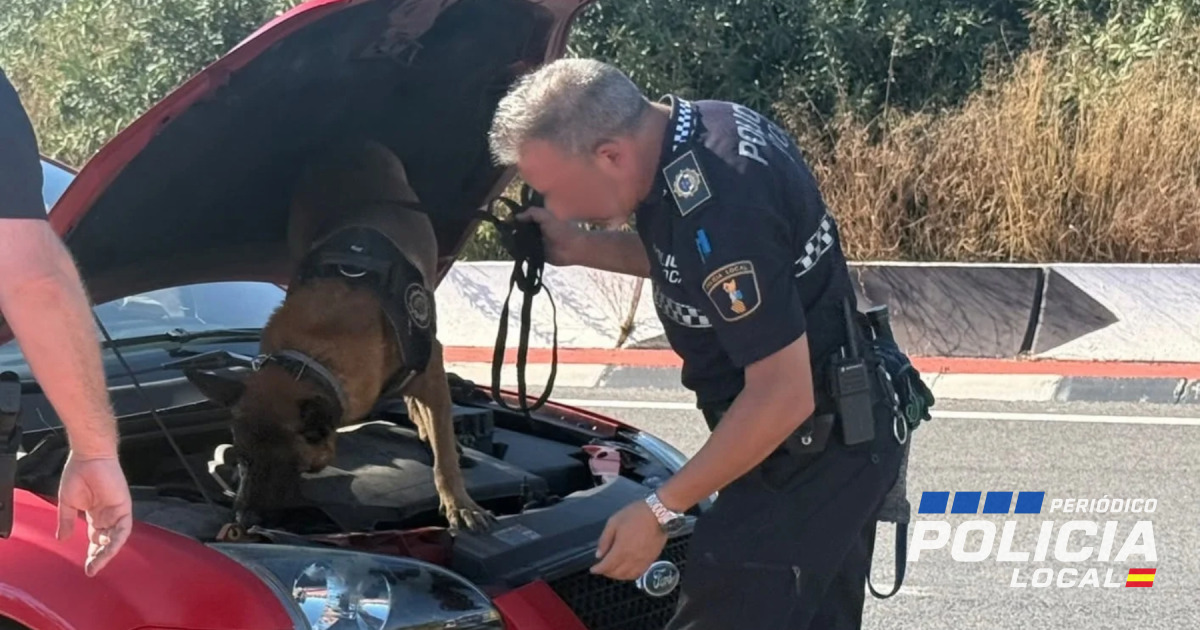 Detenido en Burriana tras huir de la Policía Local con 55 gramos de cocaína en el coche
