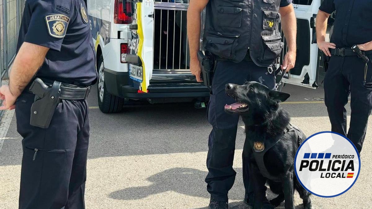 Detenido en Castelló un joven de 20 años tras intervenir casi 89 gramos de hachís