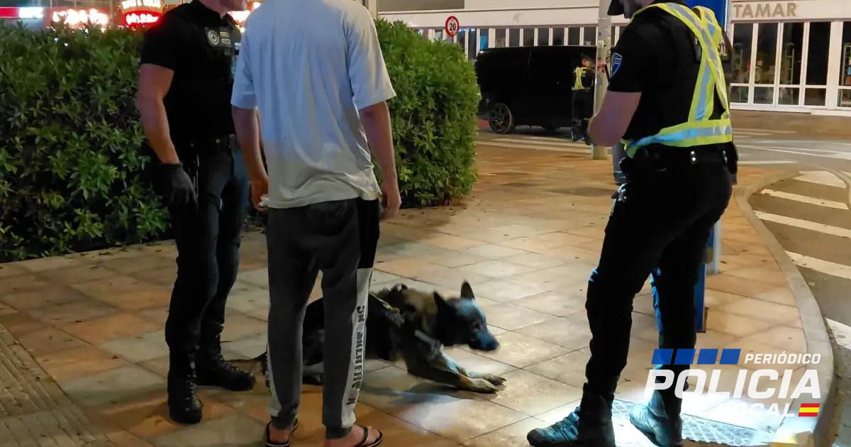 Unidades caninas, intrusismo en taxis y positivos en drogas: así ha sido el cuarto turno de la Policía Local de Ibiza