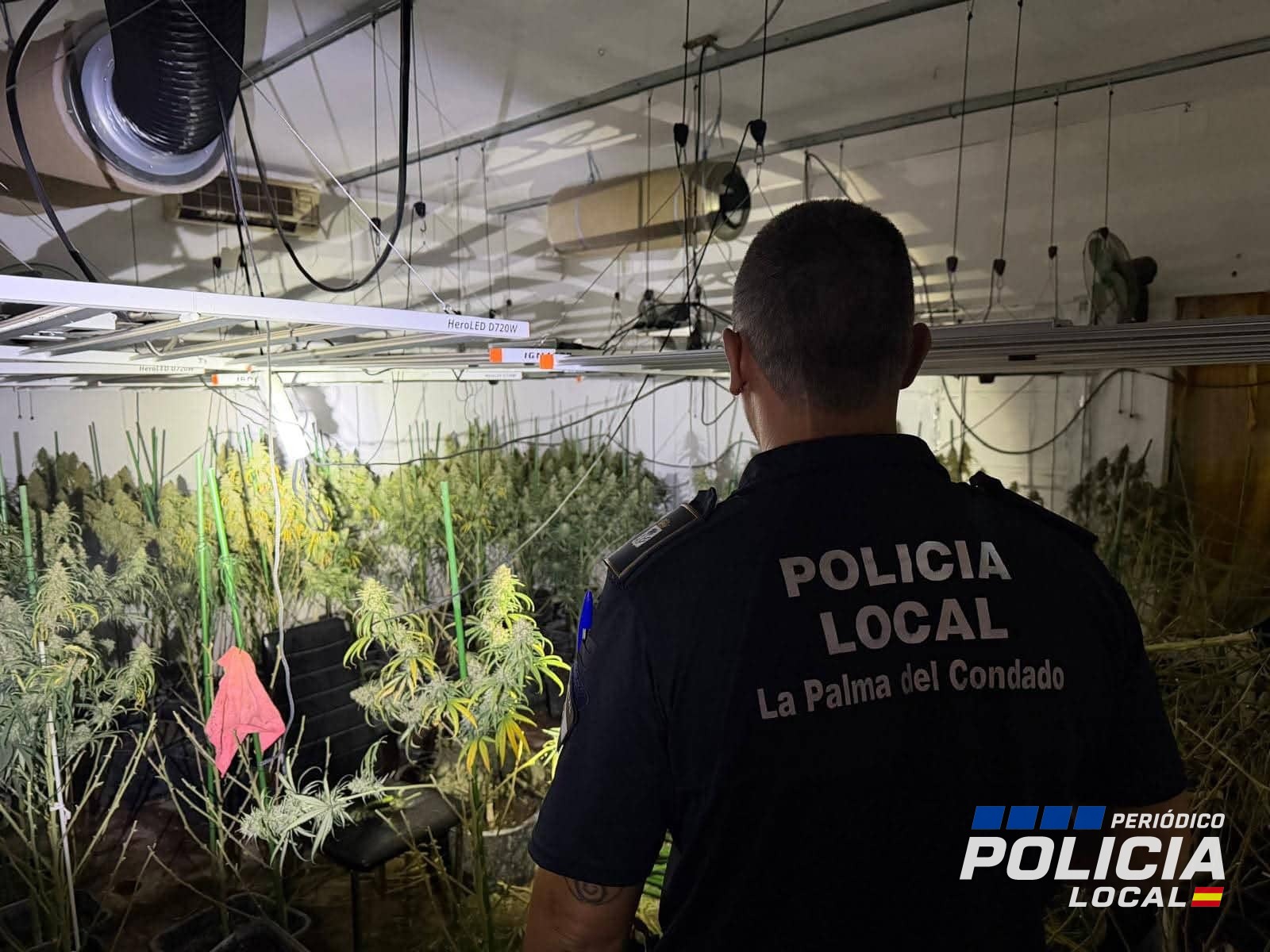 Descubren en La Palma del Condado una plantación de marihuana tras un incendio en una finca