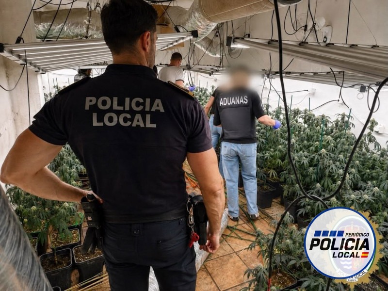 La Policía Local de Padul interviene más de 1.500 plantas de marihuana en viviendas en tres meses